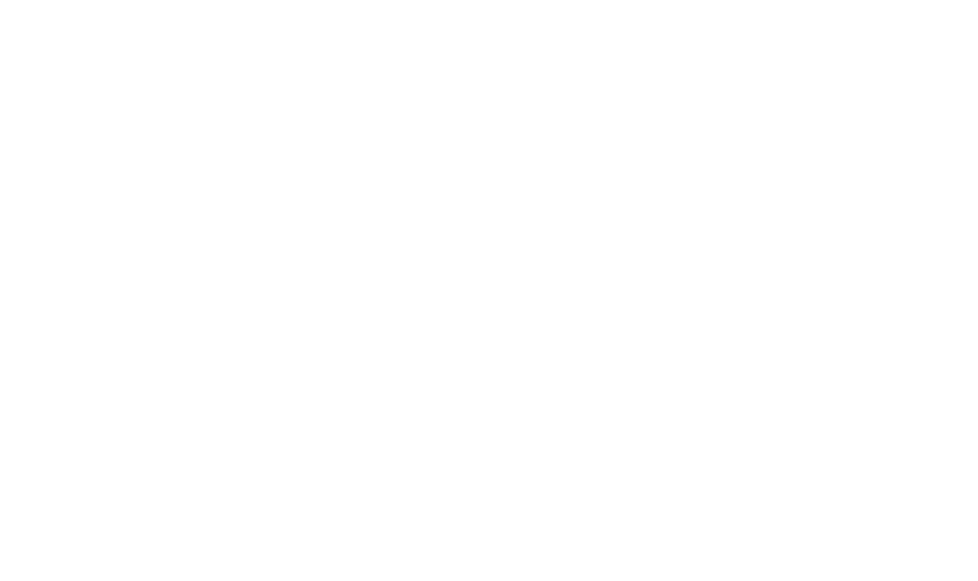 Logo Bordeaux INP